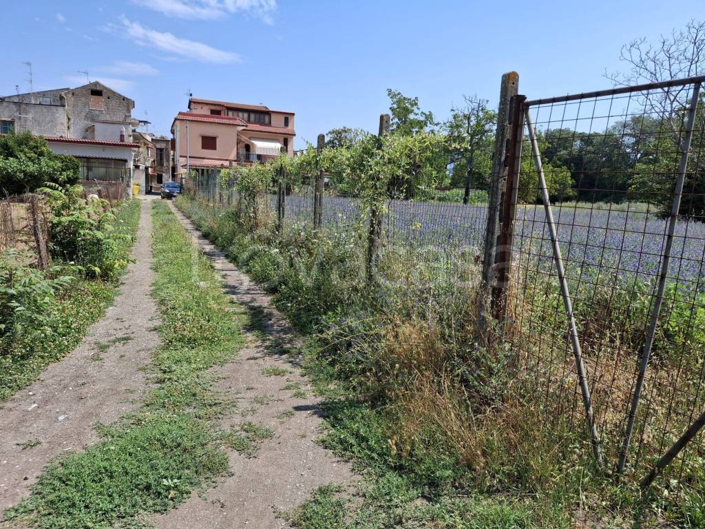 immagine annuncio 2 di 4
