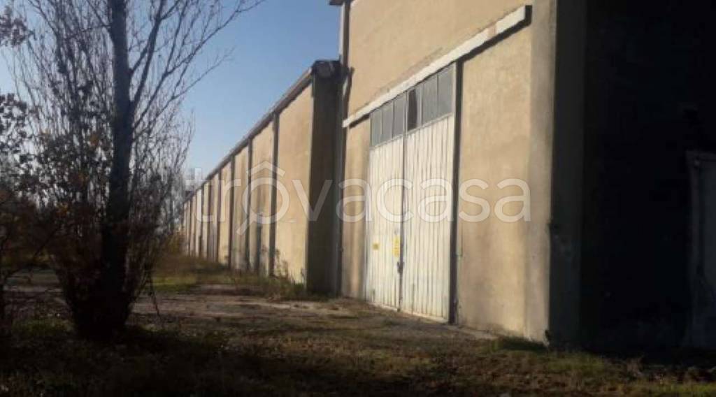immagine annuncio 5 di 12
