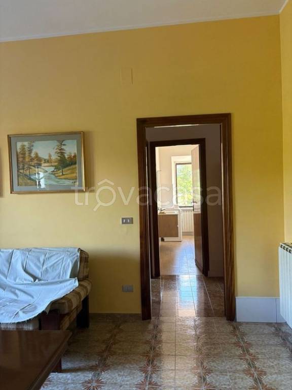 immagine annuncio 2 di 6