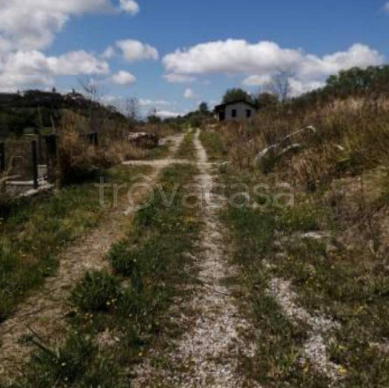 immagine annuncio 6 di 11