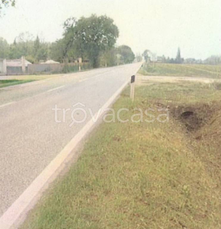 immagine annuncio 6 di 11