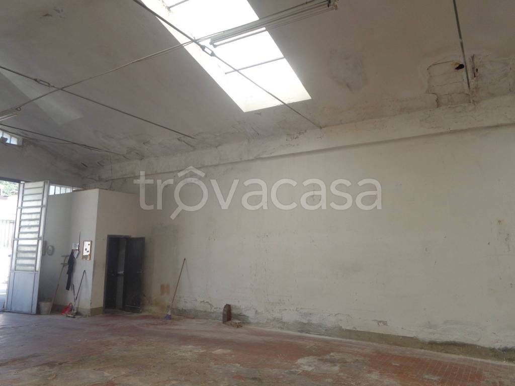 immagine annuncio 10 di 12