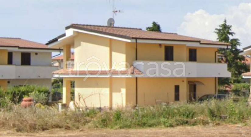 immagine annuncio 12 di 13