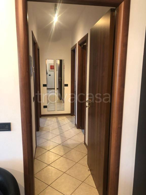 immagine annuncio 5 di 12