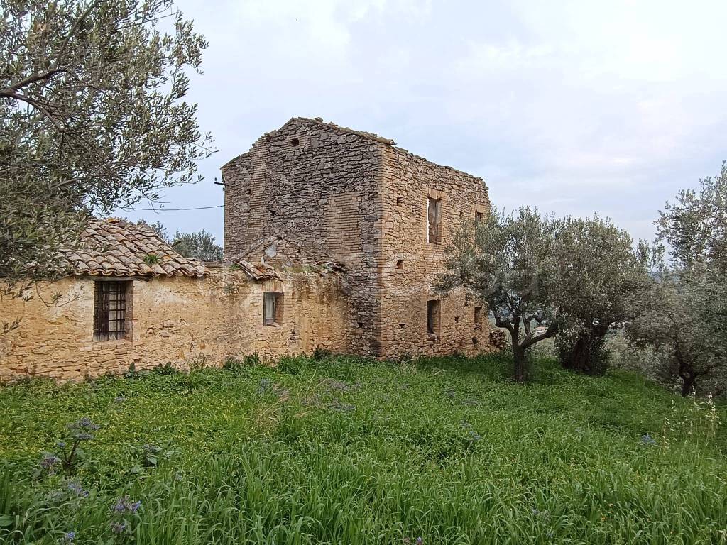 immagine annuncio 1 di 12