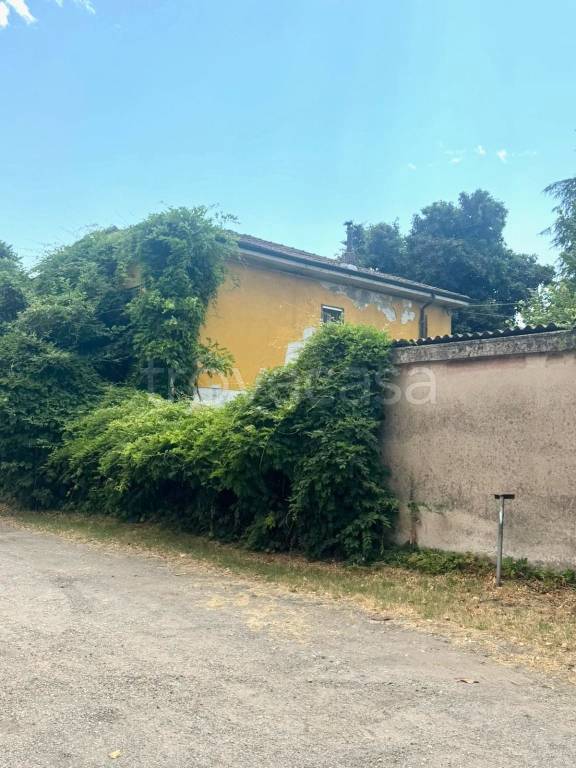 immagine annuncio 4 di 8