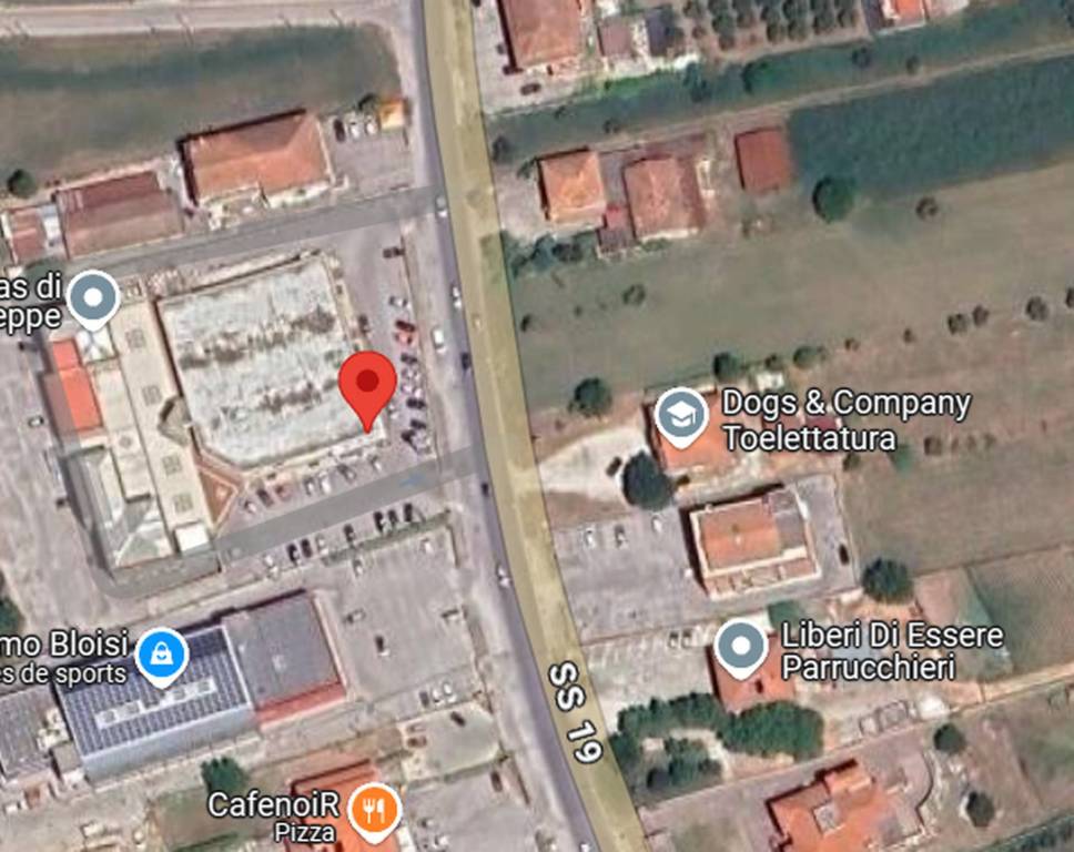 immagine annuncio 1 di 12