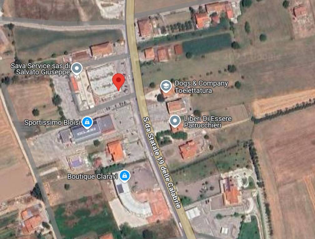 immagine annuncio 2 di 12