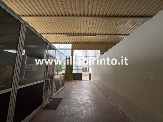 immagine annuncio 5 di 8