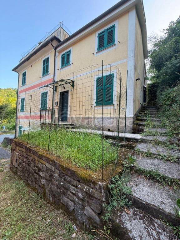 immagine annuncio 12 di 13
