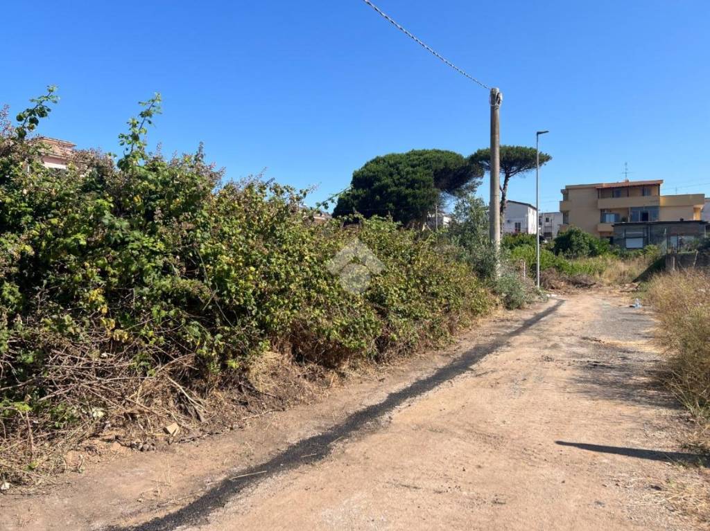 immagine annuncio 4 di 7