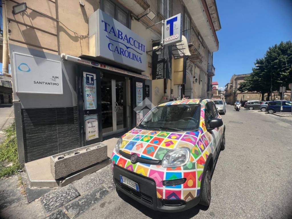 immagine annuncio 3 di 10