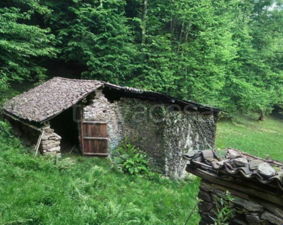 immagine annuncio 2 di 7