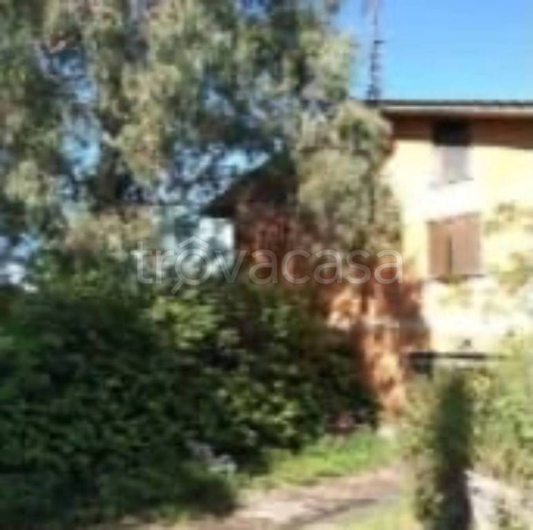 immagine annuncio 7 di 11