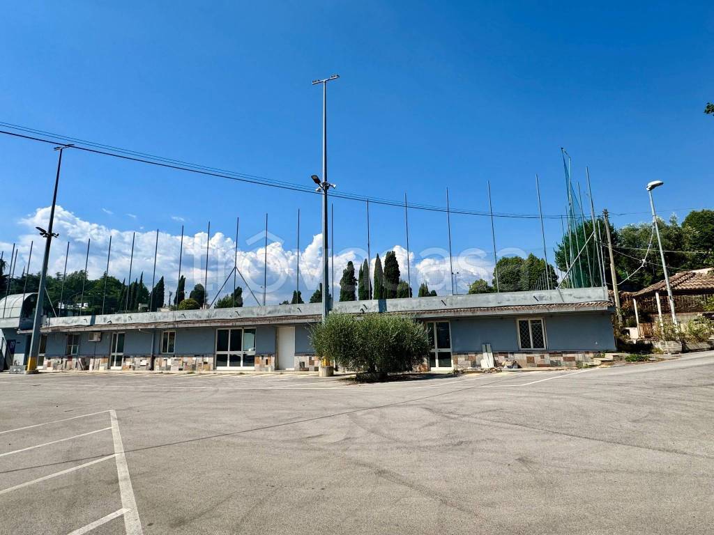 immagine annuncio 1 di 12