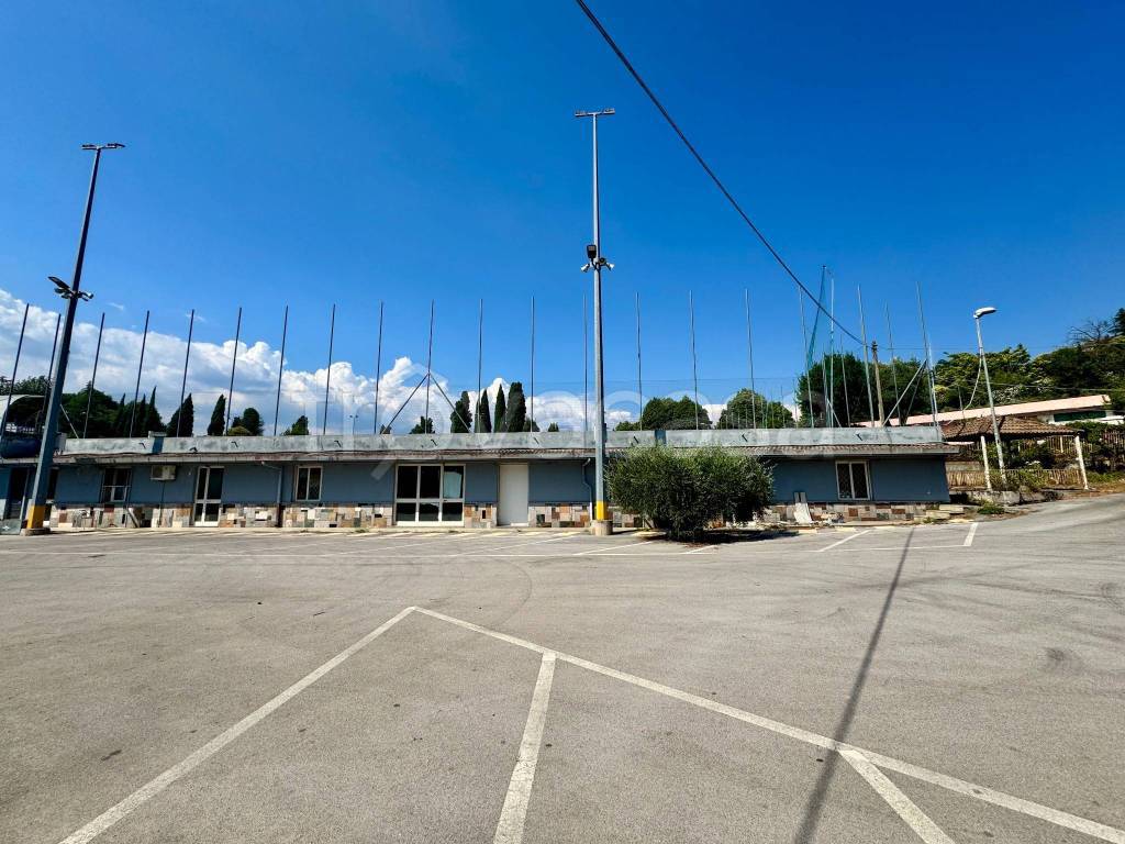immagine annuncio 2 di 12