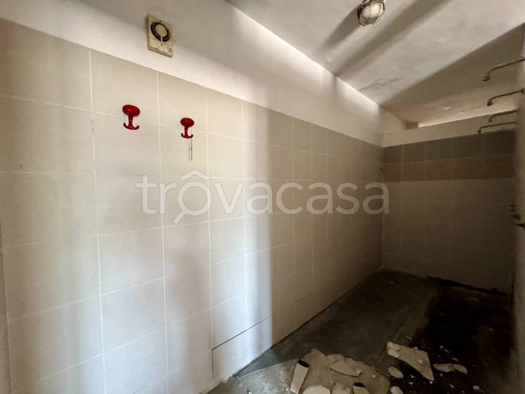 immagine annuncio 7 di 12