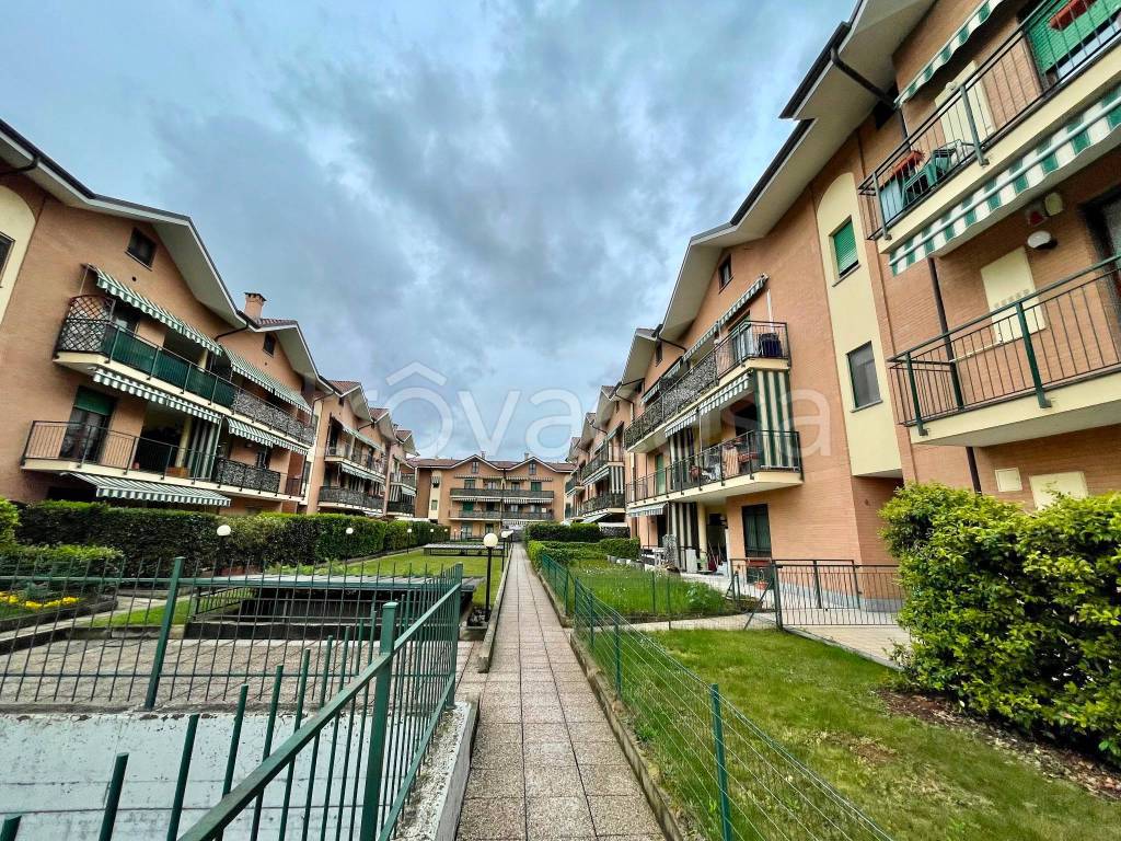 immagine annuncio 1 di 12
