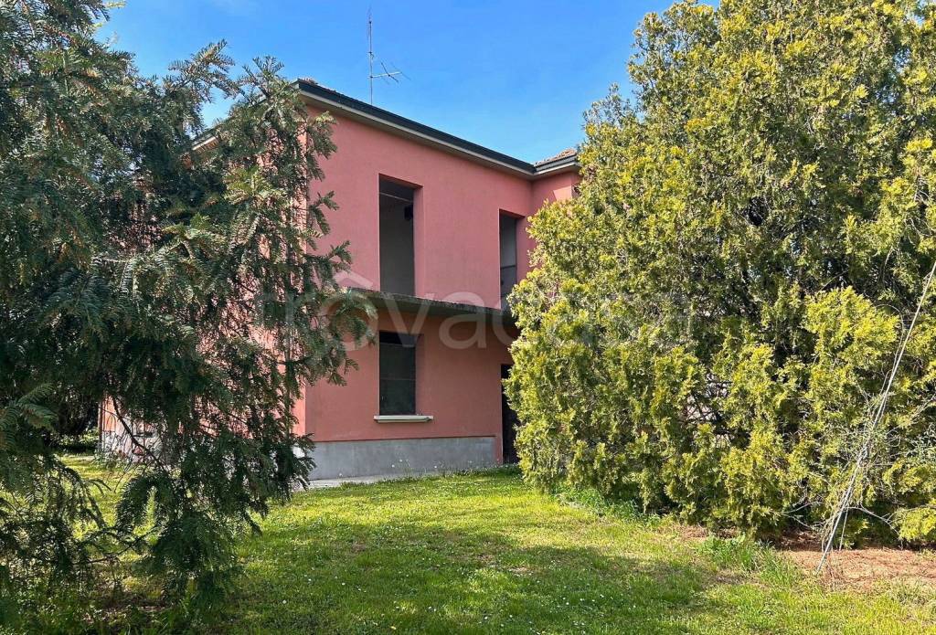 immagine annuncio 3 di 14