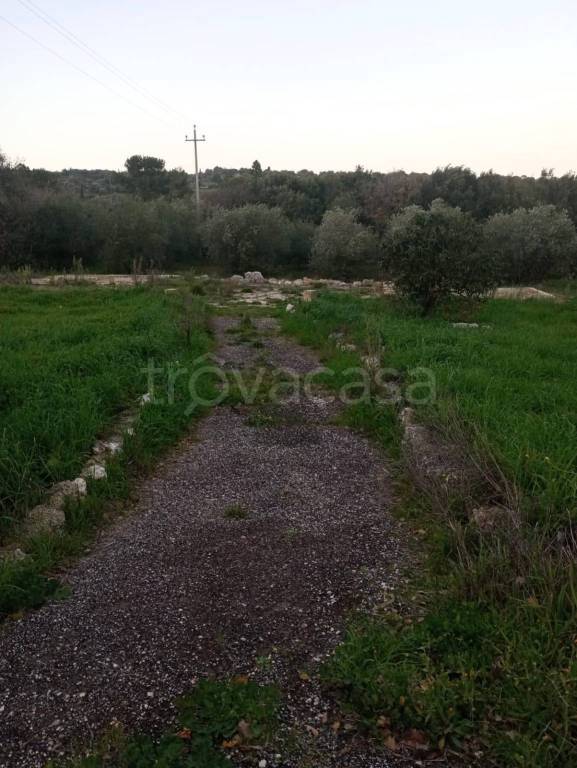 immagine annuncio 3 di 9