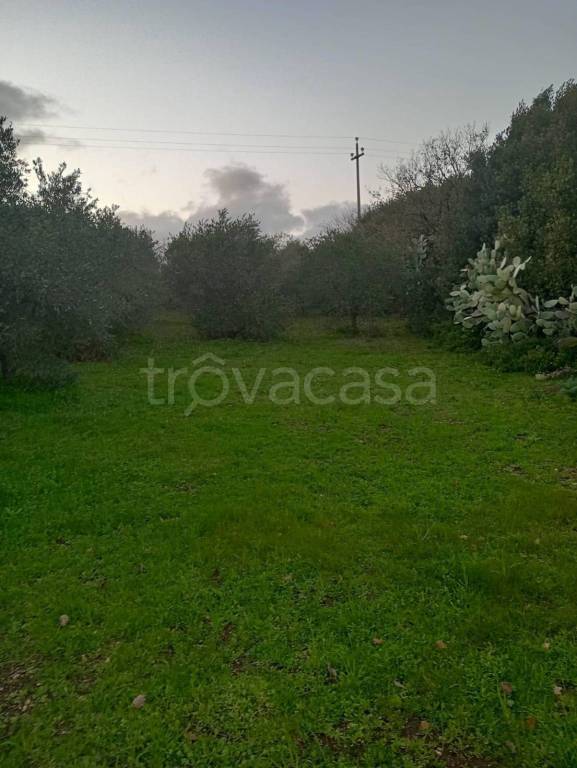immagine annuncio 4 di 9