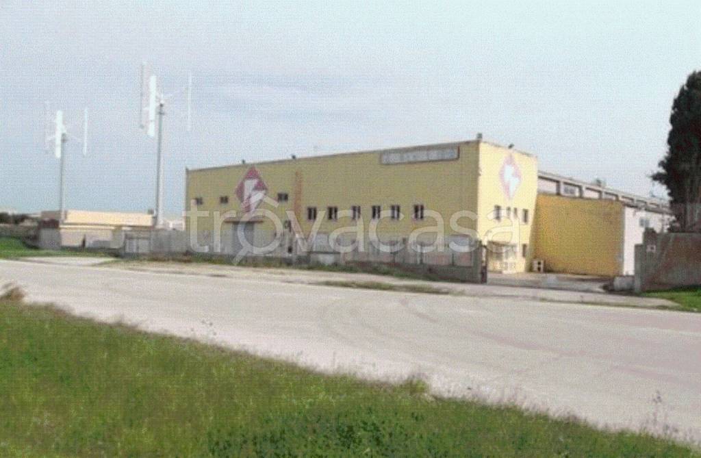 immagine annuncio 9 di 11