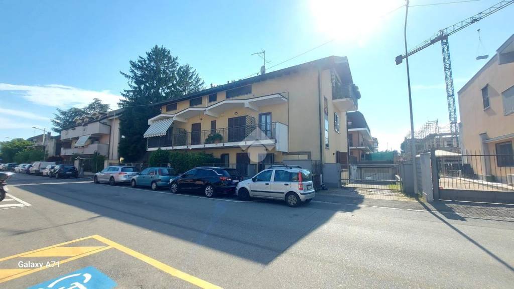 immagine annuncio 1 di 15