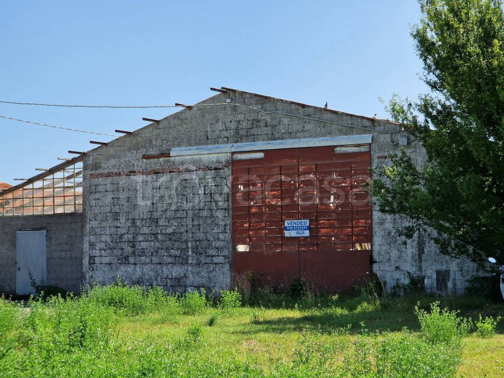immagine annuncio 4 di 6
