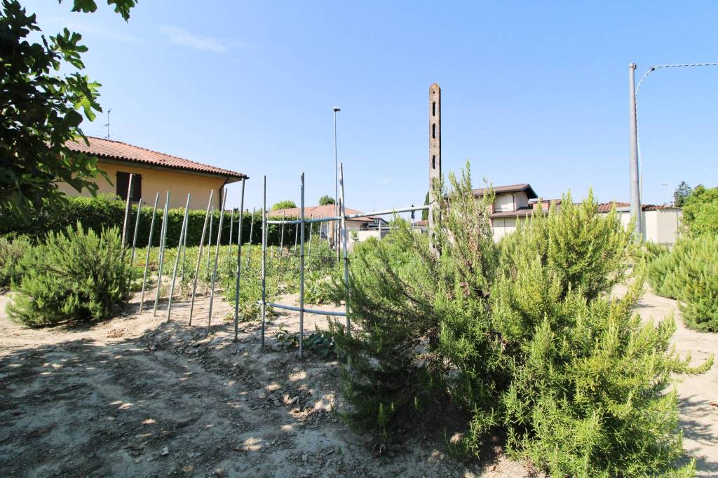 immagine annuncio 3 di 6