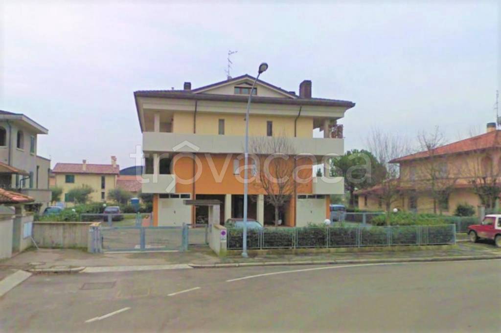immagine annuncio 5 di 12