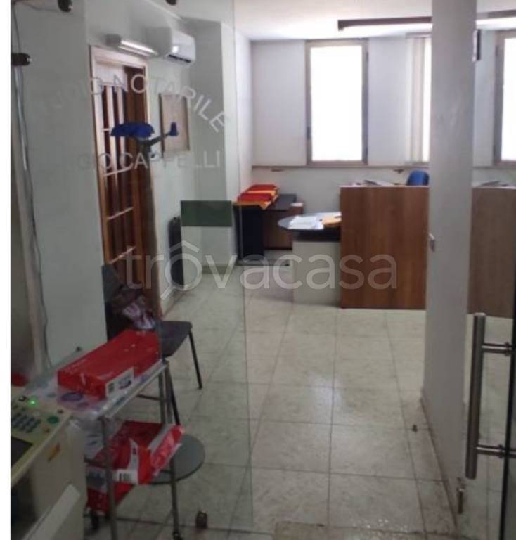 immagine annuncio 8 di 11
