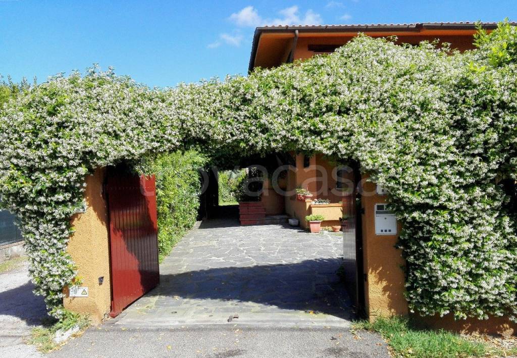 immagine annuncio 10 di 14