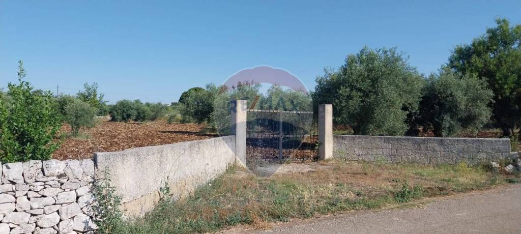 immagine annuncio 8 di 14