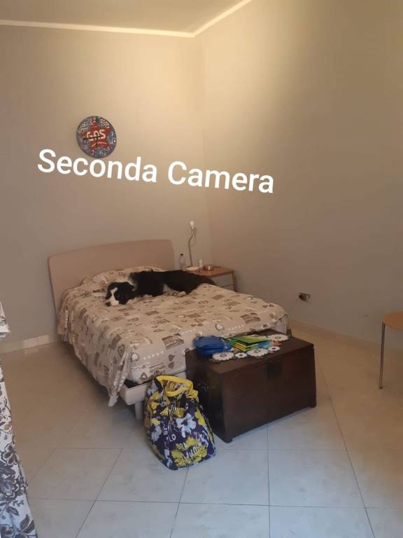 immagine annuncio 3 di 12