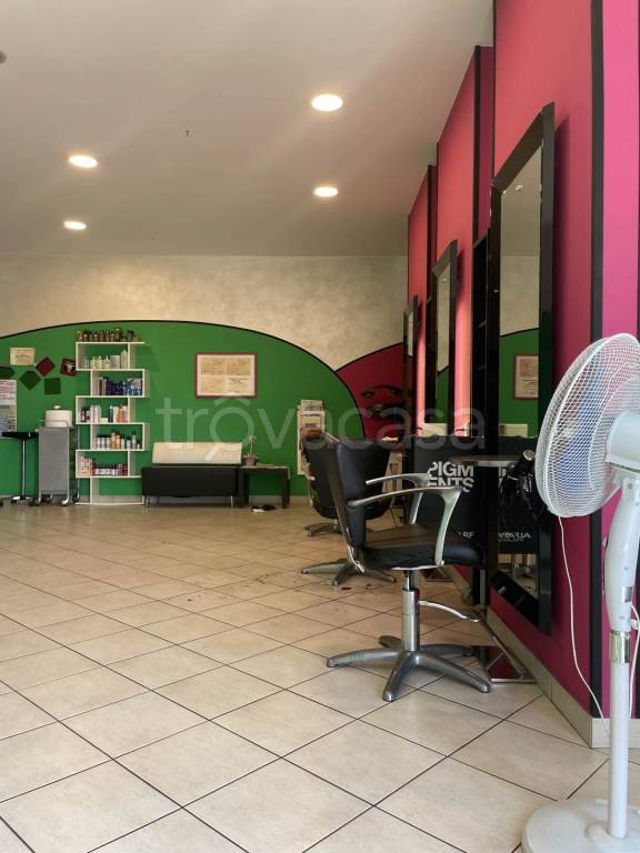 immagine annuncio 3 di 11