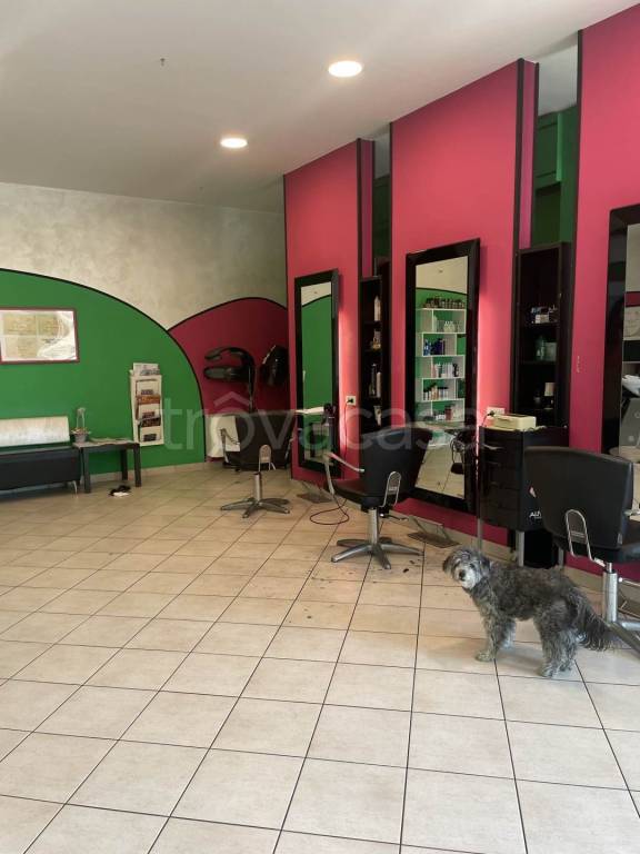 immagine annuncio 5 di 11