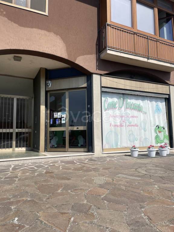 immagine annuncio 6 di 11