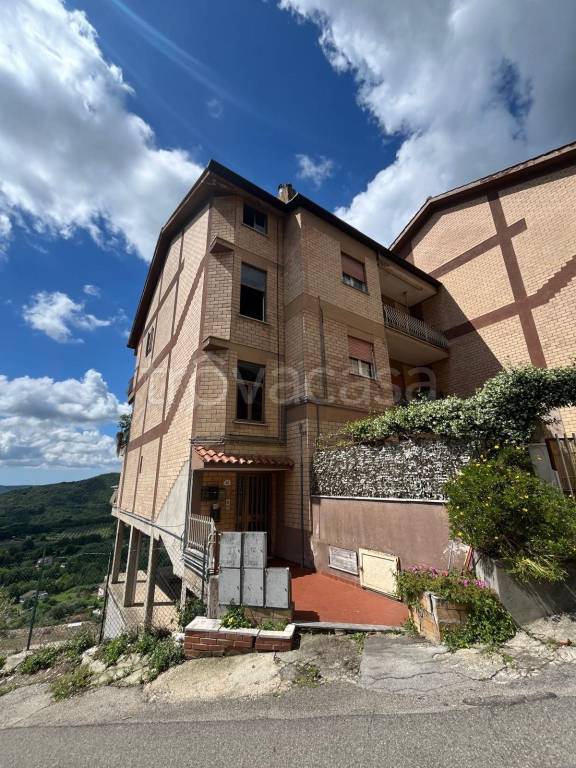 immagine annuncio 11 di 14