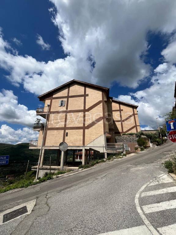 immagine annuncio 13 di 14