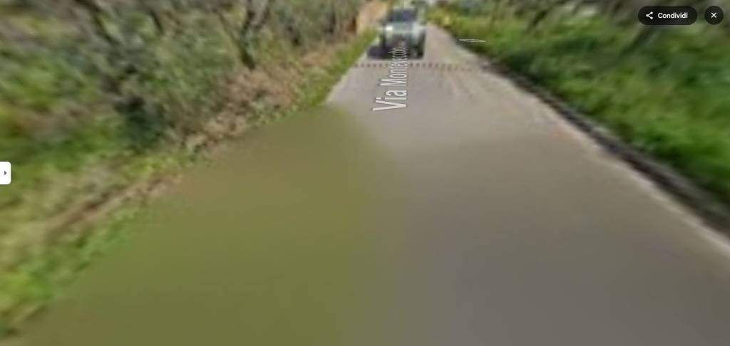 immagine annuncio 3 di 13