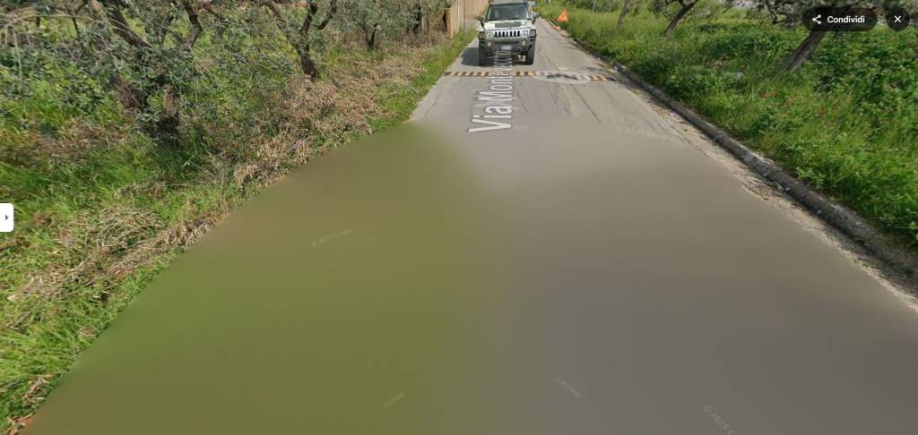 immagine annuncio 4 di 13