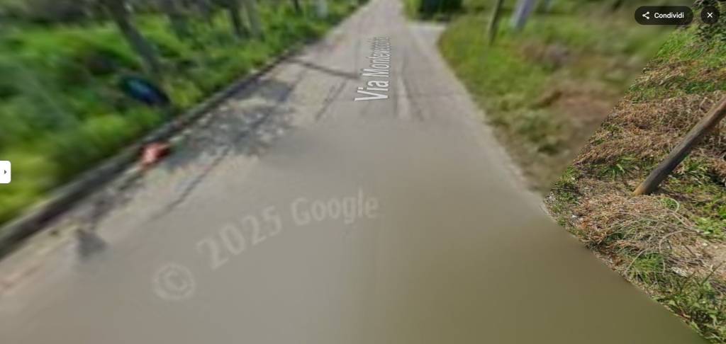 immagine annuncio 10 di 13