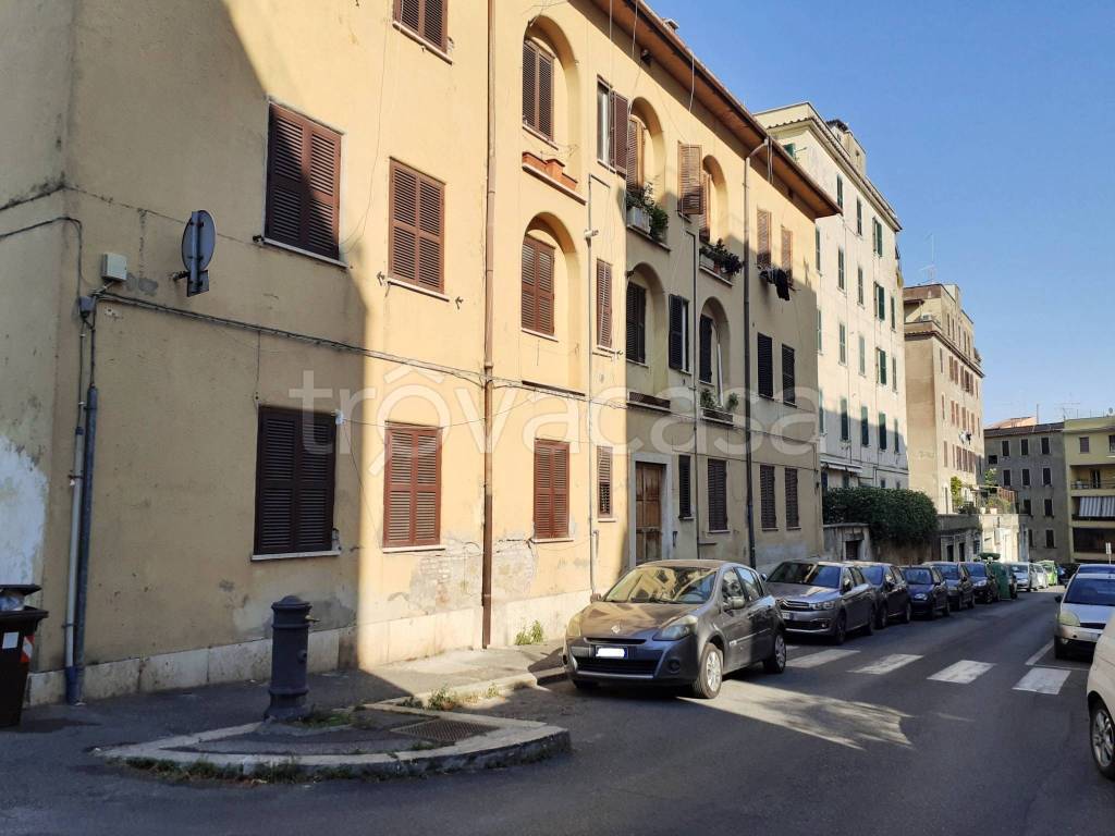 immagine annuncio 1 di 12