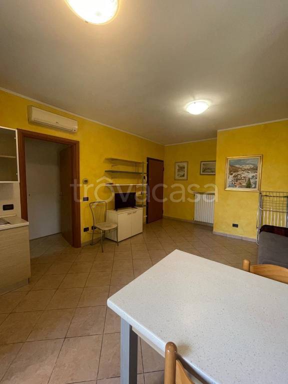 immagine annuncio 2 di 12