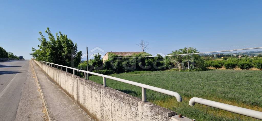 immagine annuncio 4 di 9
