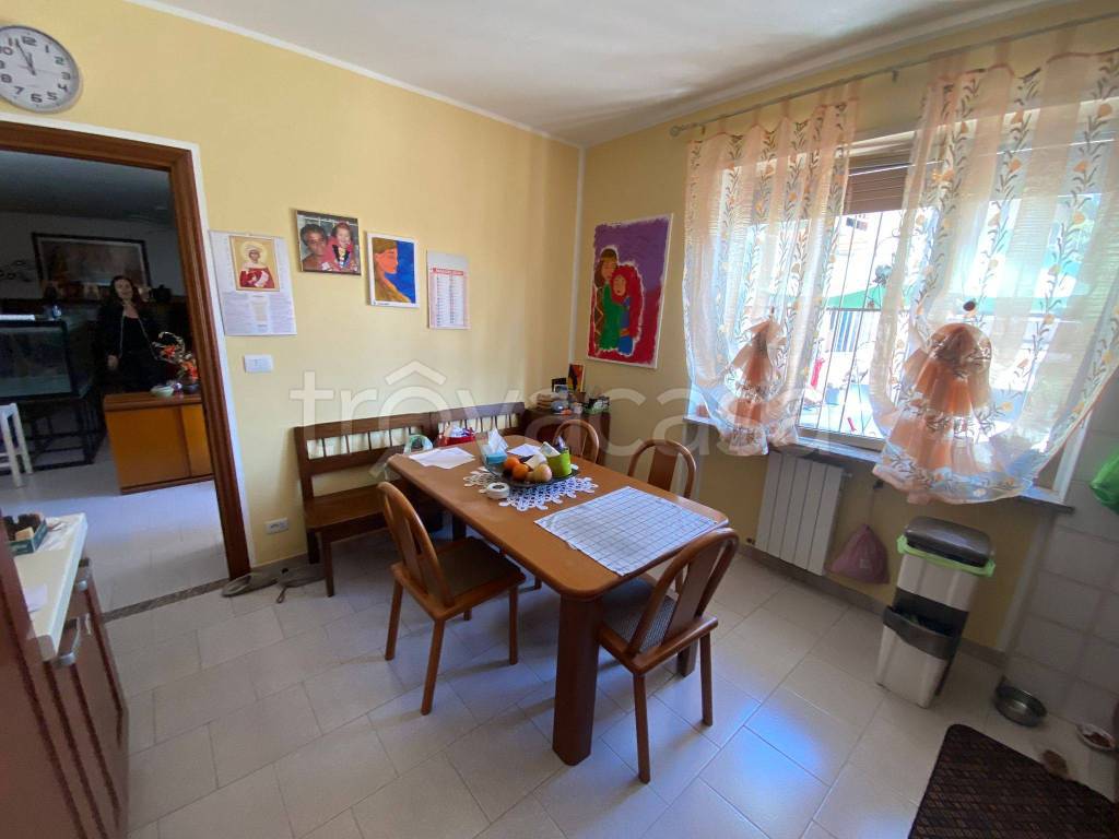 immagine annuncio 9 di 12