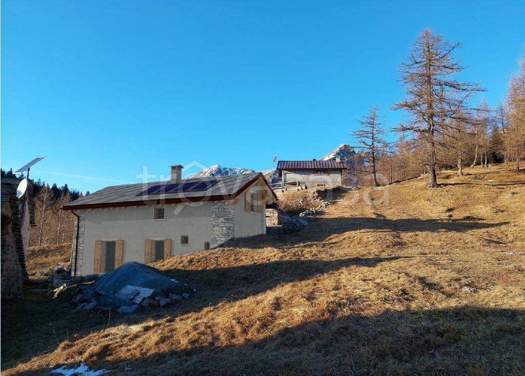 immagine annuncio 1 di 4