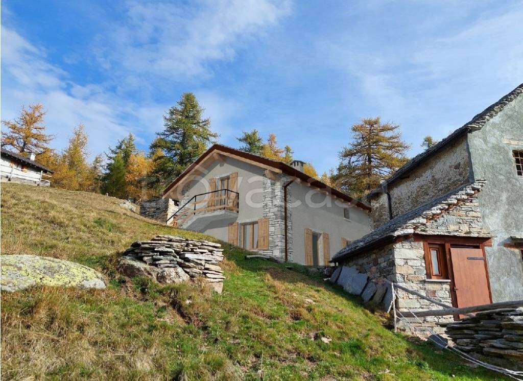 immagine annuncio 2 di 4