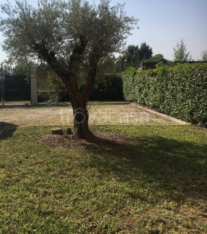 immagine annuncio 2 di 14