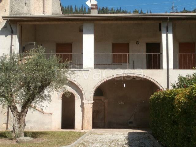 immagine annuncio 9 di 14